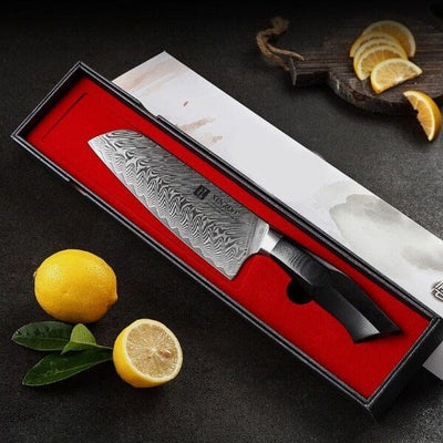 Couteau De Chef Santoku Acier VG10
