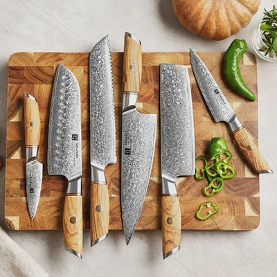 Set Couteaux Cuisine Chef Acier VG10